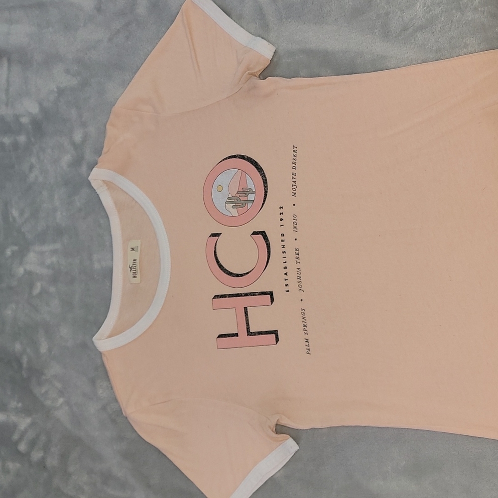 (Copy) M Hollister Tee Shirt